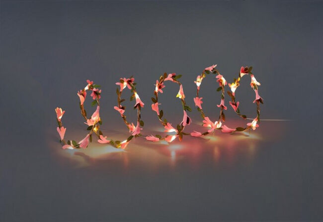 flower fairy lights